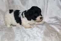 processed/7e9575a0-d274-4bbc-803d-a863c56f2bfc/listing/9339943b-6341-419c-8570-56c40330bf2a/b13f0a88-685e-4110-9039-084f730a2567