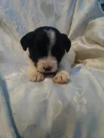 processed/7e9575a0-d274-4bbc-803d-a863c56f2bfc/listing/9339943b-6341-419c-8570-56c40330bf2a/f482da0a-4e70-426f-b9a2-f278eb64b4da