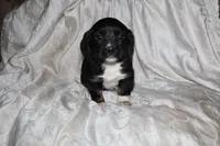 processed/7e9575a0-d274-4bbc-803d-a863c56f2bfc/listing/944fbe95-77f9-4dcb-b832-2e9488cf5bce/b4f21fc7-0766-42f1-9a13-4ad727d1b0ea