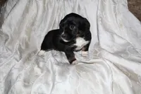 processed/7e9575a0-d274-4bbc-803d-a863c56f2bfc/listing/944fbe95-77f9-4dcb-b832-2e9488cf5bce/cfd74f53-af3b-4914-b969-15d68807f0fc