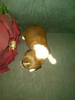 processed/7e9575a0-d274-4bbc-803d-a863c56f2bfc/listing/96caa2f3-aa11-49b3-8ac4-1db3afedc996/18b5090a-51f1-4f88-92be-325d03c31ba6