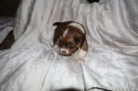 processed/7e9575a0-d274-4bbc-803d-a863c56f2bfc/listing/96caa2f3-aa11-49b3-8ac4-1db3afedc996/6b92ebd2-53bd-475f-9adb-3efa0fbf6887