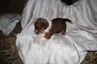 processed/7e9575a0-d274-4bbc-803d-a863c56f2bfc/listing/96caa2f3-aa11-49b3-8ac4-1db3afedc996/986afb48-6a56-4b61-96d4-d5538b635057