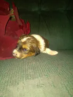 processed/7e9575a0-d274-4bbc-803d-a863c56f2bfc/listing/96caa2f3-aa11-49b3-8ac4-1db3afedc996/eca06b0a-2ae2-4314-851c-2a102159b0f1