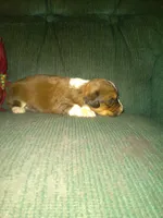 processed/7e9575a0-d274-4bbc-803d-a863c56f2bfc/listing/96caa2f3-aa11-49b3-8ac4-1db3afedc996/ff488de9-c12a-4626-b652-3d2c86cca7f7