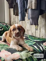 processed/7e9575a0-d274-4bbc-803d-a863c56f2bfc/listing/a9cf82cc-a880-486c-a1bf-f5ef72723af9/763dc639-50e4-47f8-a425-d071e0bc7202