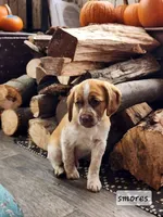 processed/7e9575a0-d274-4bbc-803d-a863c56f2bfc/listing/a9cf82cc-a880-486c-a1bf-f5ef72723af9/922a08e5-7c49-4824-9e41-e70583b7d6d5