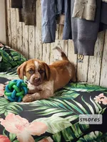 processed/7e9575a0-d274-4bbc-803d-a863c56f2bfc/listing/a9cf82cc-a880-486c-a1bf-f5ef72723af9/9c95019d-56b7-4c77-8e41-efa53997b091