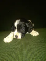 processed/7e9575a0-d274-4bbc-803d-a863c56f2bfc/listing/bc630143-cd7a-4ce8-b22f-fe4e93bcb488/901fa7c8-63ba-475c-8dd4-e31ef9c69818