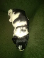 processed/7e9575a0-d274-4bbc-803d-a863c56f2bfc/listing/bc630143-cd7a-4ce8-b22f-fe4e93bcb488/a1a4f9fa-b86b-4a6e-a360-7042ec8e0bc2