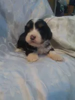 processed/7e9575a0-d274-4bbc-803d-a863c56f2bfc/listing/eaf61c0c-00db-42f2-9e4a-48edfd6347d5/1b30485a-e9f6-48fb-8647-fdffbdc51f5f