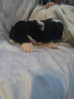 processed/7e9575a0-d274-4bbc-803d-a863c56f2bfc/listing/eaf61c0c-00db-42f2-9e4a-48edfd6347d5/26b19b66-d617-47f3-89d5-5c86e8b2de33