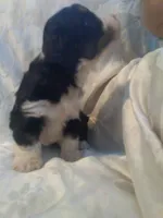 processed/7e9575a0-d274-4bbc-803d-a863c56f2bfc/listing/eaf61c0c-00db-42f2-9e4a-48edfd6347d5/b2702554-d832-4cc5-97e3-9119afa4a883