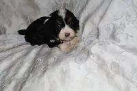 processed/7e9575a0-d274-4bbc-803d-a863c56f2bfc/listing/eaf61c0c-00db-42f2-9e4a-48edfd6347d5/da6e5e41-7c48-4517-b597-2596c1641f7c