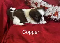 processed/7e96312d-0798-4ddc-8079-26dd06d3da52/listing/09f3fb4b-586f-4f91-9070-145547a0030e/34ad650e-b33f-4fa6-83e0-1c49c2f08f62