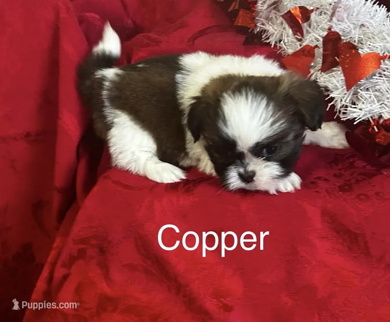 Copper