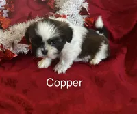 processed/7e96312d-0798-4ddc-8079-26dd06d3da52/listing/09f3fb4b-586f-4f91-9070-145547a0030e/da72f7ac-ba80-45f4-a6df-8038c86ef98e