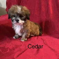 processed/7e96312d-0798-4ddc-8079-26dd06d3da52/listing/15cb73e5-5842-4784-81ec-8c6a5edd72c6/9dde97e4-00a8-49c1-a71b-3c0b7bf16118