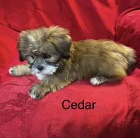 processed/7e96312d-0798-4ddc-8079-26dd06d3da52/listing/15cb73e5-5842-4784-81ec-8c6a5edd72c6/bf522097-0d02-40ae-94ab-871f69e0c7d1