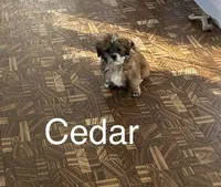 processed/7e96312d-0798-4ddc-8079-26dd06d3da52/listing/15cb73e5-5842-4784-81ec-8c6a5edd72c6/d44447ce-3895-4919-8f90-95427643bf3b