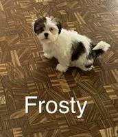 processed/7e96312d-0798-4ddc-8079-26dd06d3da52/listing/8e7ec8e5-d2c3-4d4a-9b33-87edcd0d327e/4992ac0a-fafd-4266-a016-4ab45e0460f8