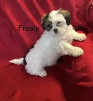 processed/7e96312d-0798-4ddc-8079-26dd06d3da52/listing/8e7ec8e5-d2c3-4d4a-9b33-87edcd0d327e/668ecd67-0199-45d3-a63f-aa6654964eef