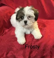 processed/7e96312d-0798-4ddc-8079-26dd06d3da52/listing/8e7ec8e5-d2c3-4d4a-9b33-87edcd0d327e/874db137-cb74-411c-988c-581f3502b147