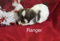 processed/7e96312d-0798-4ddc-8079-26dd06d3da52/listing/b07a7ef2-c6e7-4465-ac3d-e4e08ce6405d/a75ffd07-1f21-40ca-b414-871bffe73503