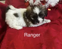 processed/7e96312d-0798-4ddc-8079-26dd06d3da52/listing/b07a7ef2-c6e7-4465-ac3d-e4e08ce6405d/abca0c1d-4732-4bc0-a2d0-0868de3b69bc