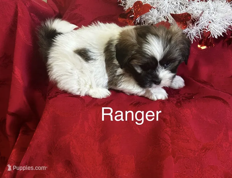 Ranger