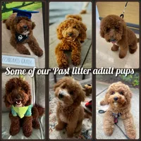 processed/7ea59eef-d9c9-42c4-b86a-232563a1aa0c/facility/776369e6-804c-4b61-9236-30562b7230f5