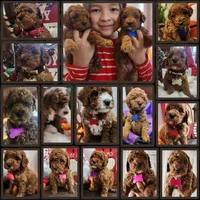 processed/7ea59eef-d9c9-42c4-b86a-232563a1aa0c/facility/996cc837-d492-49fa-8bd5-50f14af59017