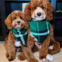 processed/7ea59eef-d9c9-42c4-b86a-232563a1aa0c/facility/9d528d47-0826-4a74-9c5a-6515cb117454