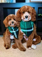 processed/7ea59eef-d9c9-42c4-b86a-232563a1aa0c/facility/9d528d47-0826-4a74-9c5a-6515cb117454