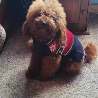 processed/7ea59eef-d9c9-42c4-b86a-232563a1aa0c/facility/aa8f4f2a-afb3-4e04-a1de-ea555c16b660