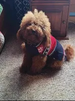 processed/7ea59eef-d9c9-42c4-b86a-232563a1aa0c/facility/aa8f4f2a-afb3-4e04-a1de-ea555c16b660