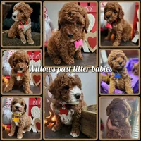 processed/7ea59eef-d9c9-42c4-b86a-232563a1aa0c/facility/c7b25fa6-b513-4d7e-8da4-d69b7820126b