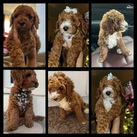 processed/7ea59eef-d9c9-42c4-b86a-232563a1aa0c/facility/d10fb65a-8dae-40bc-a961-0acf450815ce