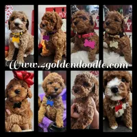 processed/7ea59eef-d9c9-42c4-b86a-232563a1aa0c/facility/dc86e413-1cdc-4d17-bad5-b9dec05bdfe8