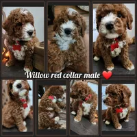 processed/7ea59eef-d9c9-42c4-b86a-232563a1aa0c/facility/f476fecc-2376-4503-8473-cf186d07c17f