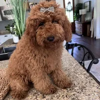 processed/7ea59eef-d9c9-42c4-b86a-232563a1aa0c/facility/fa145484-04c5-4405-95cc-29b0fed53a77