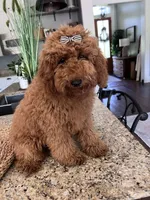 processed/7ea59eef-d9c9-42c4-b86a-232563a1aa0c/facility/fa145484-04c5-4405-95cc-29b0fed53a77