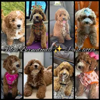 processed/7ea59eef-d9c9-42c4-b86a-232563a1aa0c/listing/81363865-538a-48fd-9b45-8da640bd0544/0dea353d-90d2-44b9-aab1-9cdb6ddbbfbd