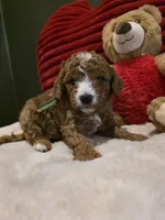 processed/7ea59eef-d9c9-42c4-b86a-232563a1aa0c/listing/81363865-538a-48fd-9b45-8da640bd0544/78e2c95d-9a43-402f-96a1-372d013607a8