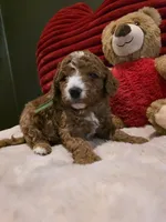 processed/7ea59eef-d9c9-42c4-b86a-232563a1aa0c/listing/81363865-538a-48fd-9b45-8da640bd0544/91927c8e-73e3-4993-9d93-f27cb6b1ca78