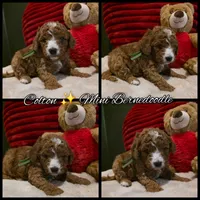 processed/7ea59eef-d9c9-42c4-b86a-232563a1aa0c/listing/81363865-538a-48fd-9b45-8da640bd0544/966c916e-ee8a-4dbe-9c69-86dec738fc50