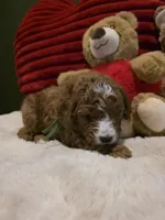 processed/7ea59eef-d9c9-42c4-b86a-232563a1aa0c/listing/81363865-538a-48fd-9b45-8da640bd0544/9df3d03d-160a-4c26-9d44-876f05f50f6e