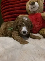 processed/7ea59eef-d9c9-42c4-b86a-232563a1aa0c/listing/81363865-538a-48fd-9b45-8da640bd0544/c8d3d1c9-587e-4f0a-937e-b7082d8c3fdd