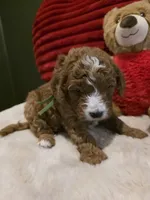 processed/7ea59eef-d9c9-42c4-b86a-232563a1aa0c/listing/81363865-538a-48fd-9b45-8da640bd0544/e6818f61-5814-4aa7-9b8b-38bd17eedc93