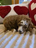 processed/7ea59eef-d9c9-42c4-b86a-232563a1aa0c/listing/b44051f7-fd5e-4996-9e28-f8c795682815/0af1b06b-bb5e-4d0d-bfb6-7a33139f9a26